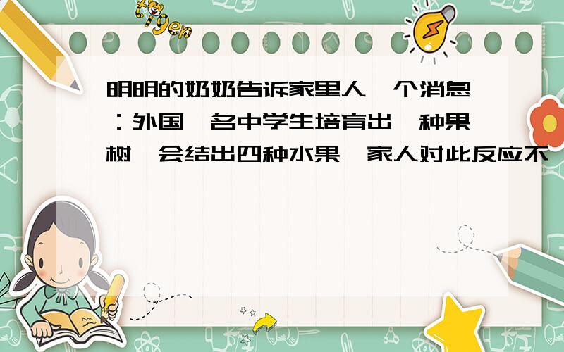 明明的奶奶告诉家里人一个消息：外国一名中学生培育出一种果树,会结出四种水果,家人对此反应不一.