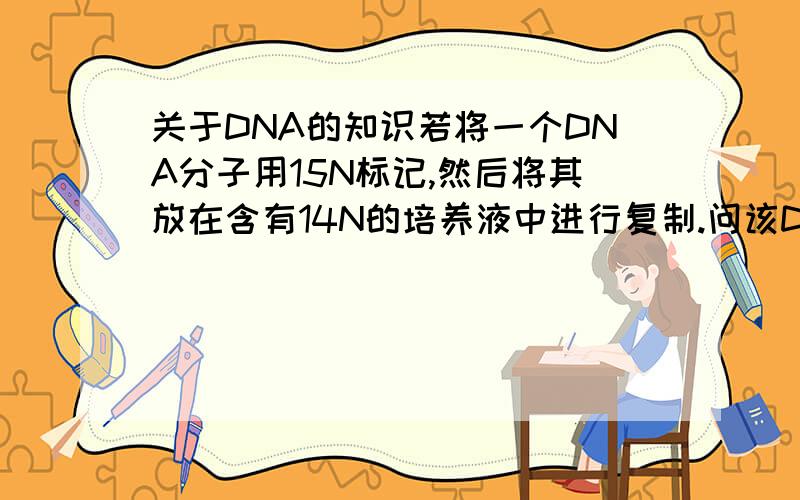 关于DNA的知识若将一个DNA分子用15N标记,然后将其放在含有14N的培养液中进行复制.问该DNA分子经过两次复制后形