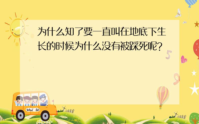 为什么知了要一直叫在地底下生长的时候为什么没有被踩死呢?