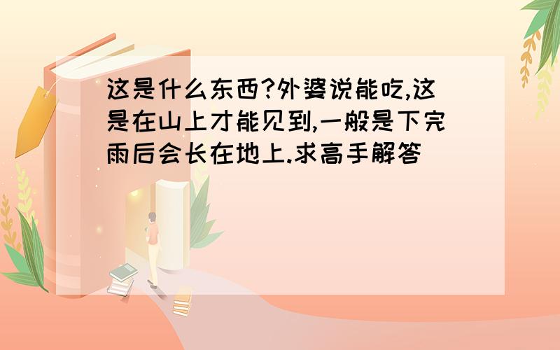 这是什么东西?外婆说能吃,这是在山上才能见到,一般是下完雨后会长在地上.求高手解答