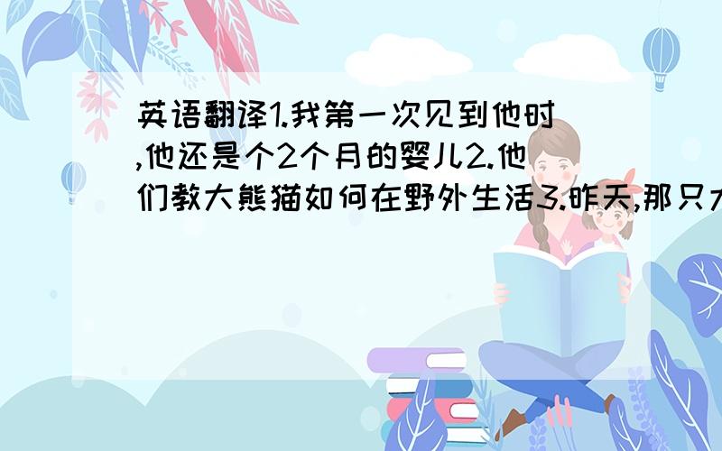 英语翻译1.我第一次见到他时,他还是个2个月的婴儿2.他们教大熊猫如何在野外生活3.昨天,那只大熊猫第一次来到他家门外4