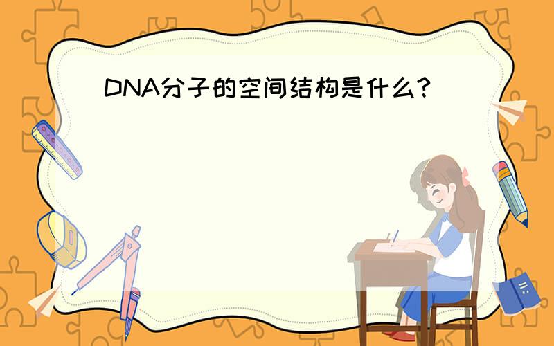 DNA分子的空间结构是什么?