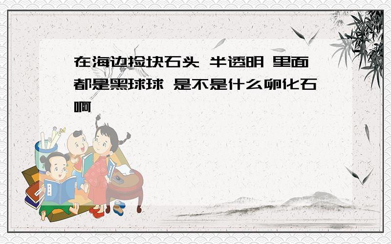 在海边捡块石头 半透明 里面都是黑球球 是不是什么卵化石啊