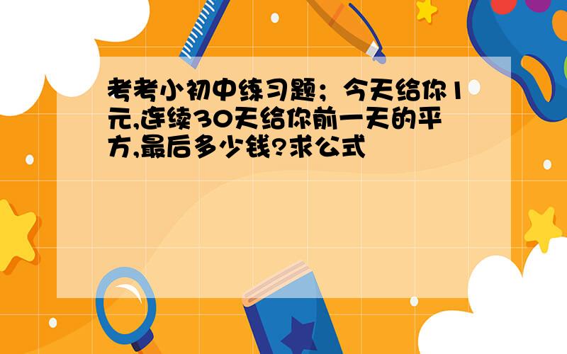 考考小初中练习题；今天给你1元,连续30天给你前一天的平方,最后多少钱?求公式