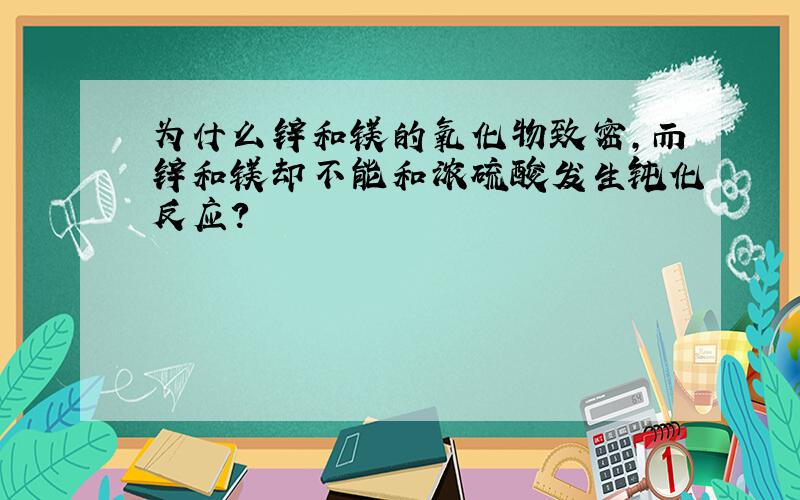 为什么锌和镁的氧化物致密,而锌和镁却不能和浓硫酸发生钝化反应?