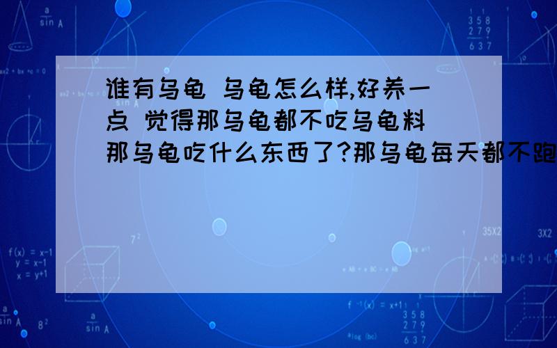 谁有乌龟 乌龟怎么样,好养一点 觉得那乌龟都不吃乌龟料 那乌龟吃什么东西了?那乌龟每天都不跑我以为都死了