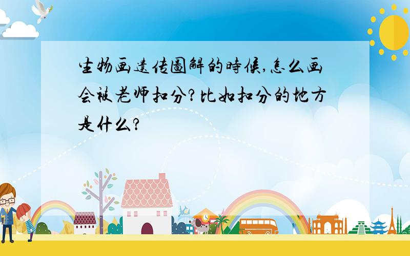 生物画遗传图解的时候,怎么画会被老师扣分?比如扣分的地方是什么?