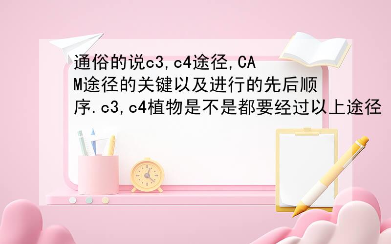 通俗的说c3,c4途径,CAM途径的关键以及进行的先后顺序.c3,c4植物是不是都要经过以上途径