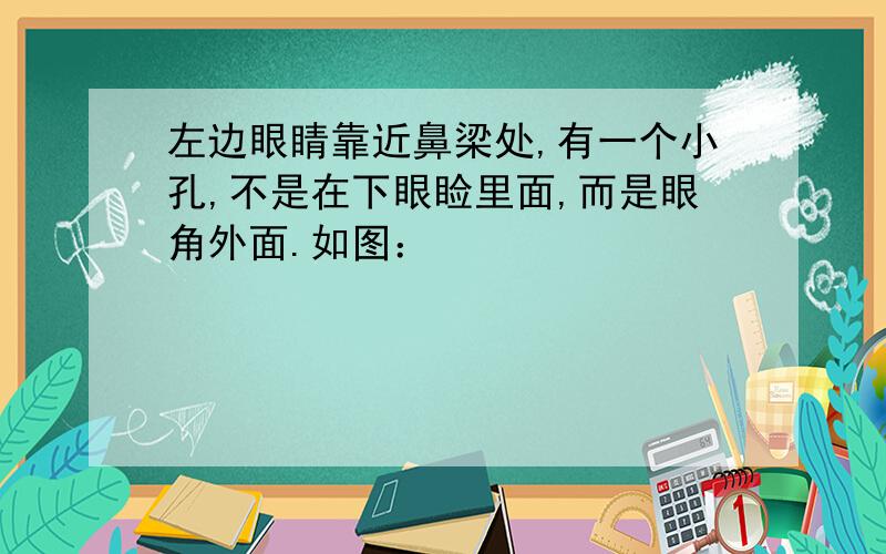 左边眼睛靠近鼻梁处,有一个小孔,不是在下眼睑里面,而是眼角外面.如图：