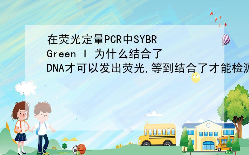 在荧光定量PCR中SYBR Green I 为什么结合了DNA才可以发出荧光,等到结合了才能检测到荧光值