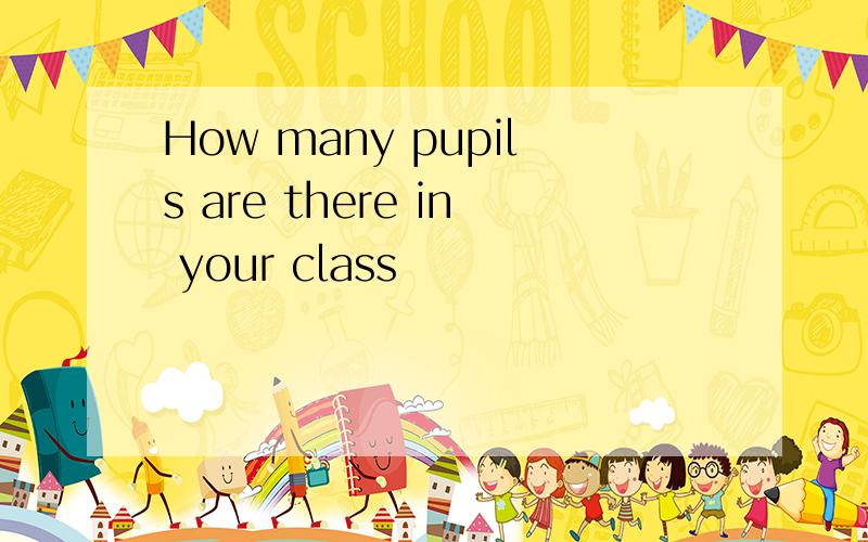 How many pupils are there in your class