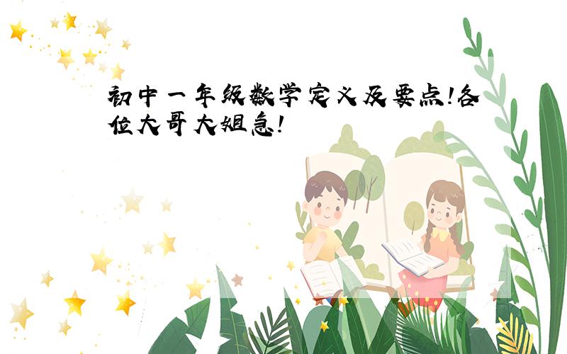 初中一年级数学定义及要点!各位大哥大姐急!