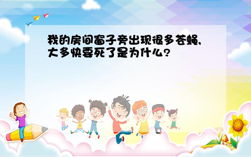 我的房间窗子旁出现很多苍蝇,大多快要死了是为什么?