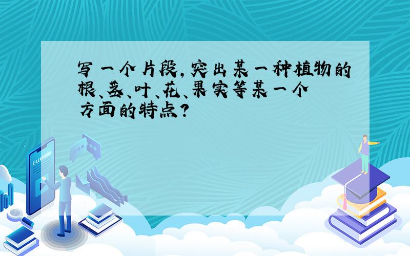 写一个片段,突出某一种植物的根、茎、叶、花、果实等某一个方面的特点?
