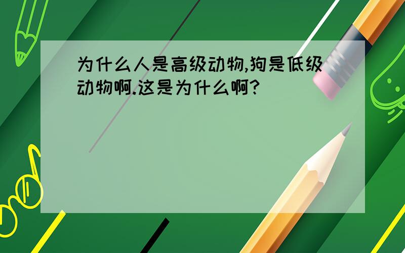 为什么人是高级动物,狗是低级动物啊.这是为什么啊?