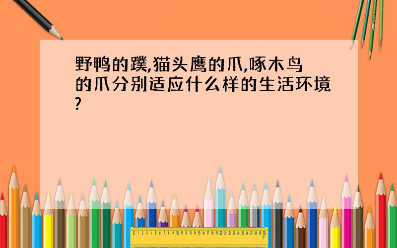 野鸭的蹼,猫头鹰的爪,啄木鸟的爪分别适应什么样的生活环境?