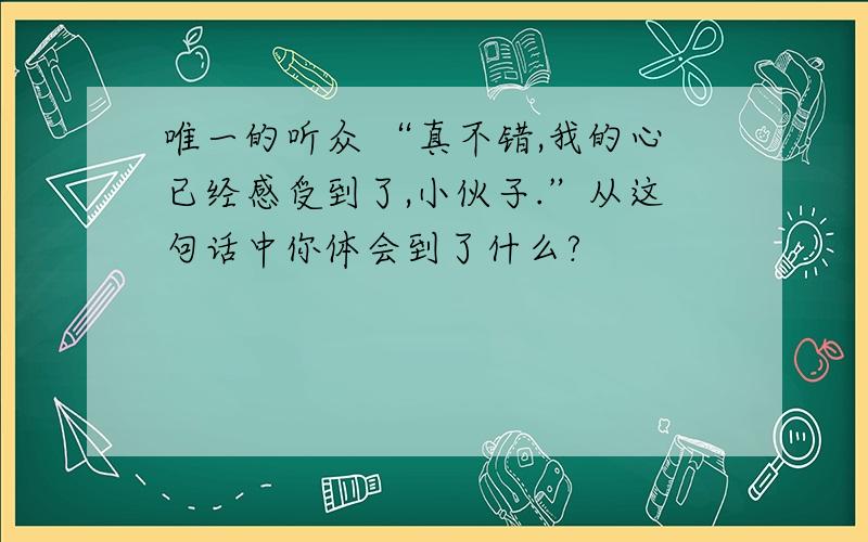 唯一的听众 “真不错,我的心已经感受到了,小伙子.”从这句话中你体会到了什么?