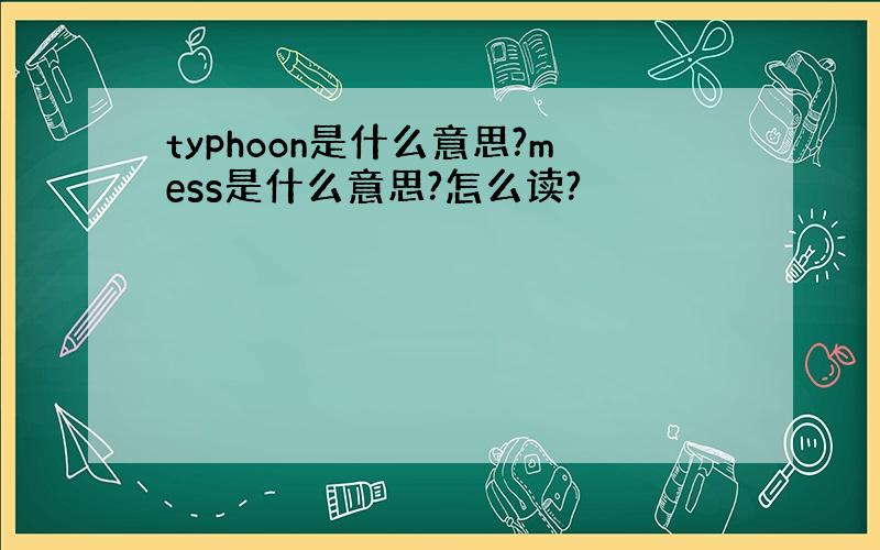 typhoon是什么意思?mess是什么意思?怎么读?