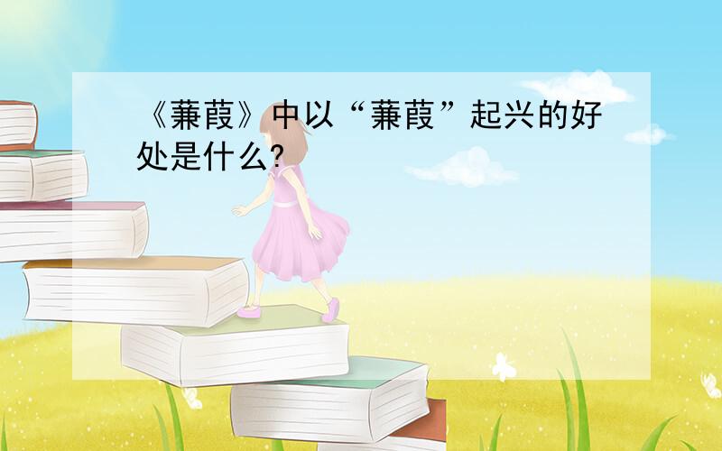 《蒹葭》中以“蒹葭”起兴的好处是什么?