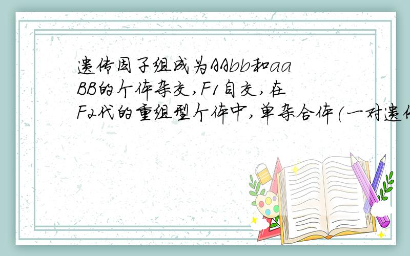 遗传因子组成为AAbb和aaBB的个体杂交,F1自交,在F2代的重组型个体中,单杂合体(一对遗传因子杂合……