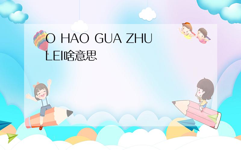 O HAO GUA ZHU LEI啥意思