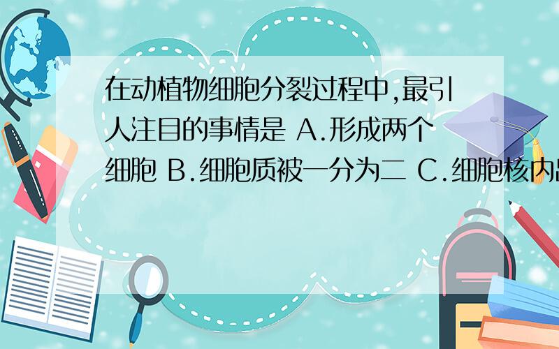 在动植物细胞分裂过程中,最引人注目的事情是 A.形成两个细胞 B.细胞质被一分为二 C.细胞核内出现染色体