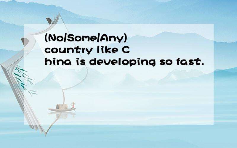 (No/Some/Any) country like China is developing so fast.