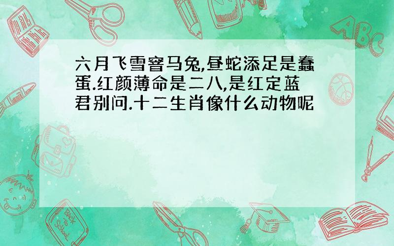 六月飞雪窨马兔,昼蛇添足是蠢蛋.红颜薄命是二八,是红定蓝君别问.十二生肖像什么动物呢