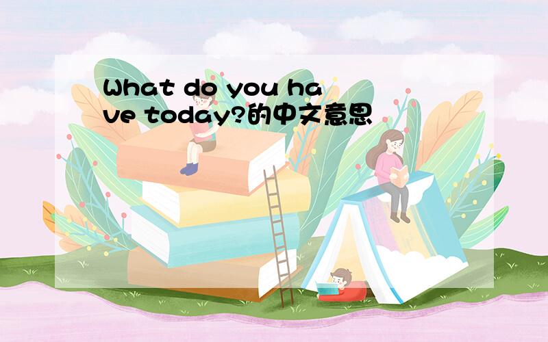 What do you have today?的中文意思