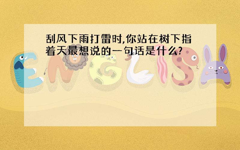 刮风下雨打雷时,你站在树下指着天最想说的一句话是什么?