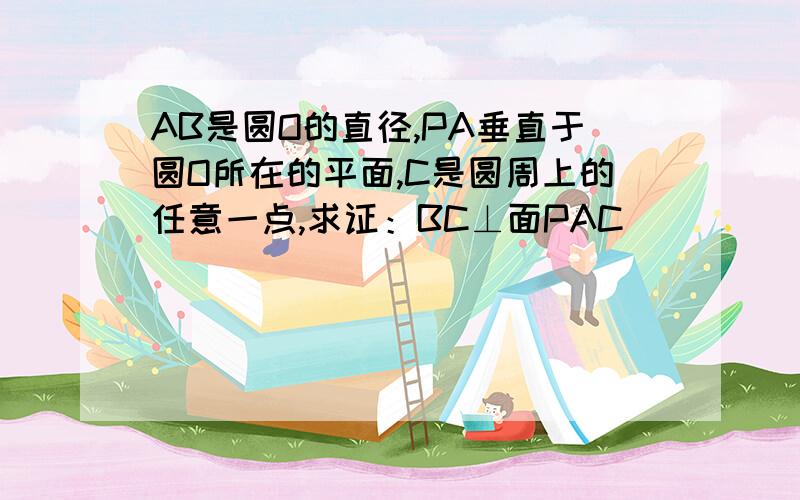 AB是圆O的直径,PA垂直于圆O所在的平面,C是圆周上的任意一点,求证：BC⊥面PAC