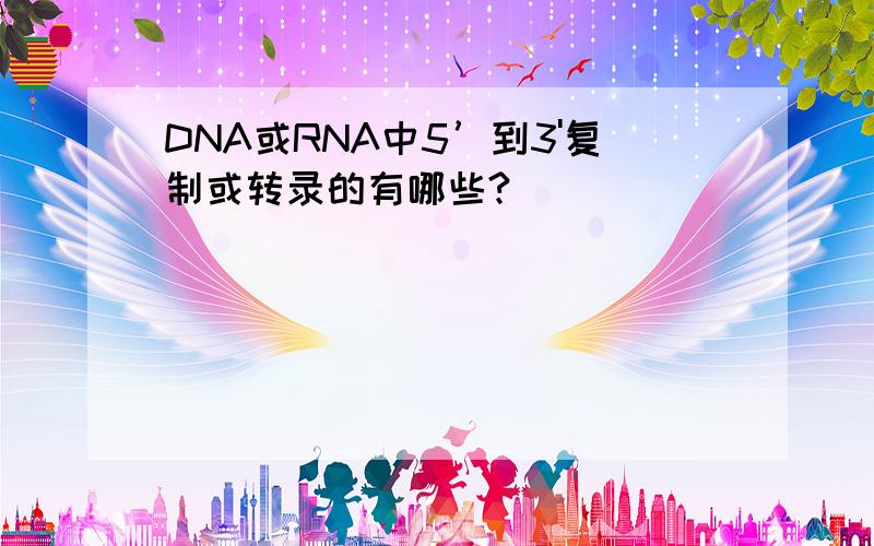 DNA或RNA中5’到3'复制或转录的有哪些?