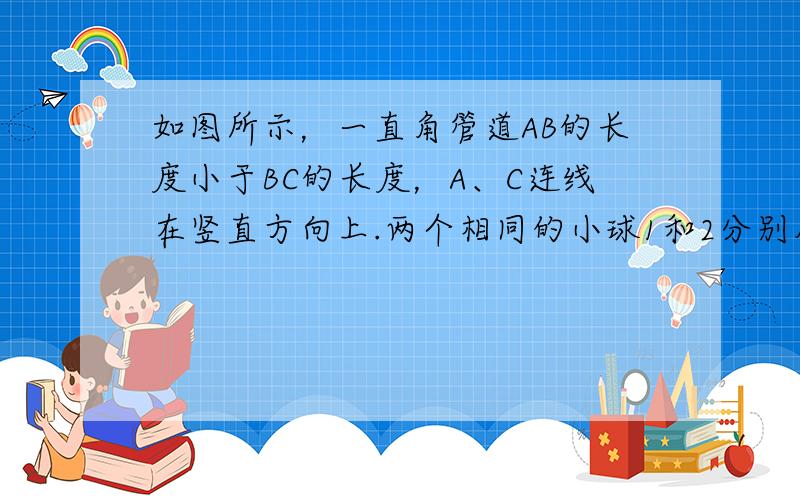 如图所示，一直角管道AB的长度小于BC的长度，A、C连线在竖直方向上.两个相同的小球1和2分别从A和B两点由静止释放，小