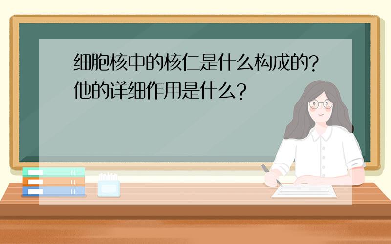 细胞核中的核仁是什么构成的?他的详细作用是什么?