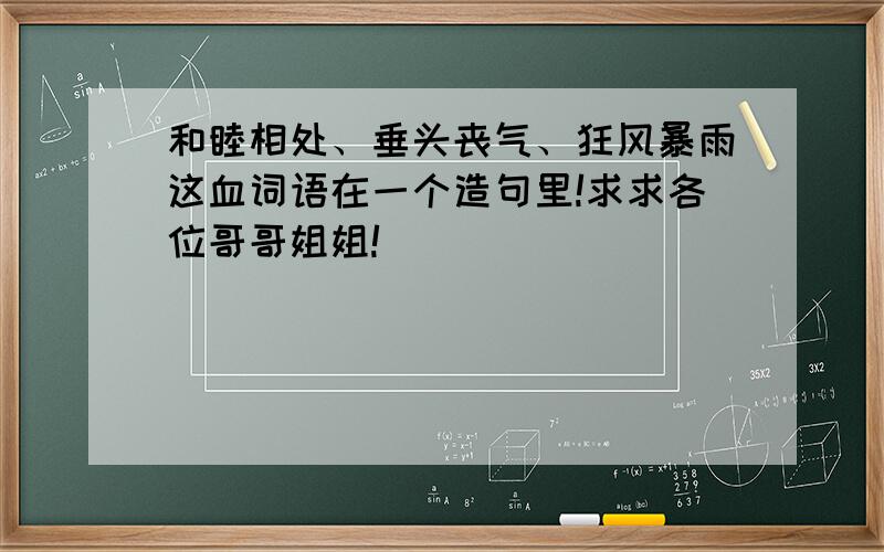 和睦相处、垂头丧气、狂风暴雨这血词语在一个造句里!求求各位哥哥姐姐!