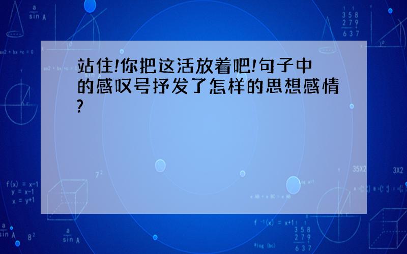 站住!你把这活放着吧!句子中的感叹号抒发了怎样的思想感情?