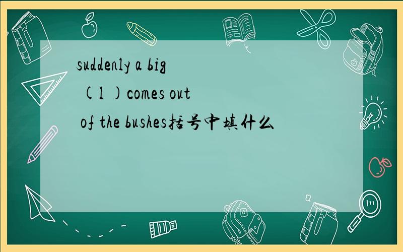 suddenly a big (l )comes out of the bushes括号中填什么