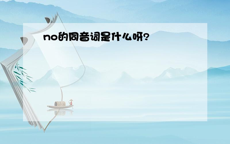 no的同音词是什么呀?