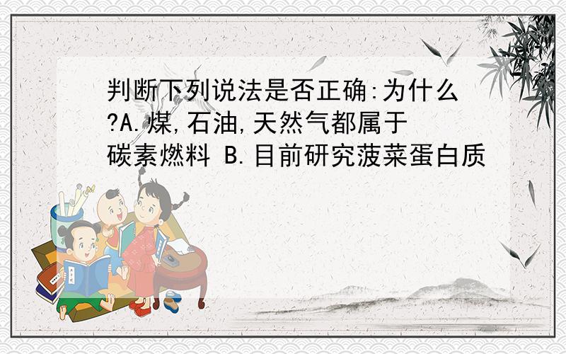 判断下列说法是否正确:为什么?A.煤,石油,天然气都属于碳素燃料 B.目前研究菠菜蛋白质