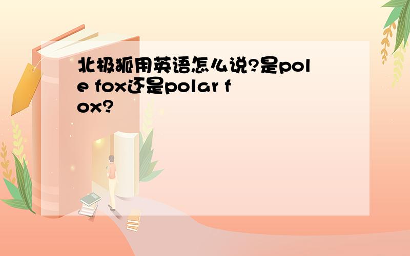 北极狐用英语怎么说?是pole fox还是polar fox?