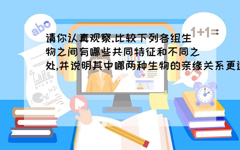 请你认真观察.比较下列各组生物之间有哪些共同特征和不同之处,并说明其中哪两种生物的亲缘关系更进.