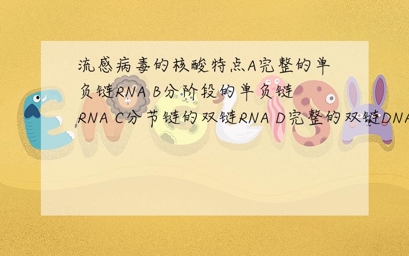 流感病毒的核酸特点A完整的单负链RNA B分阶段的单负链RNA C分节链的双链RNA D完整的双链DNAE分节段单链DN