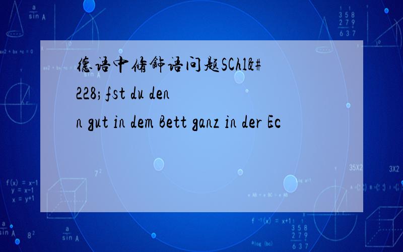 德语中修饰语问题SChläfst du denn gut in dem Bett ganz in der Ec