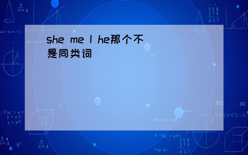 she me I he那个不是同类词