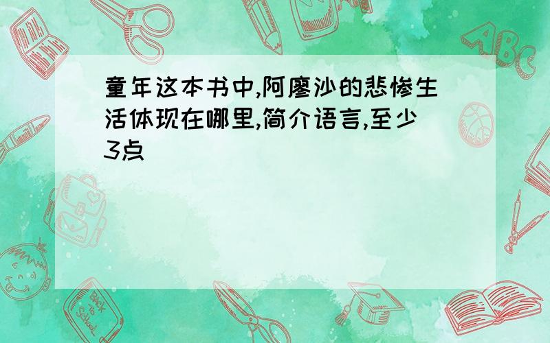 童年这本书中,阿廖沙的悲惨生活体现在哪里,简介语言,至少3点