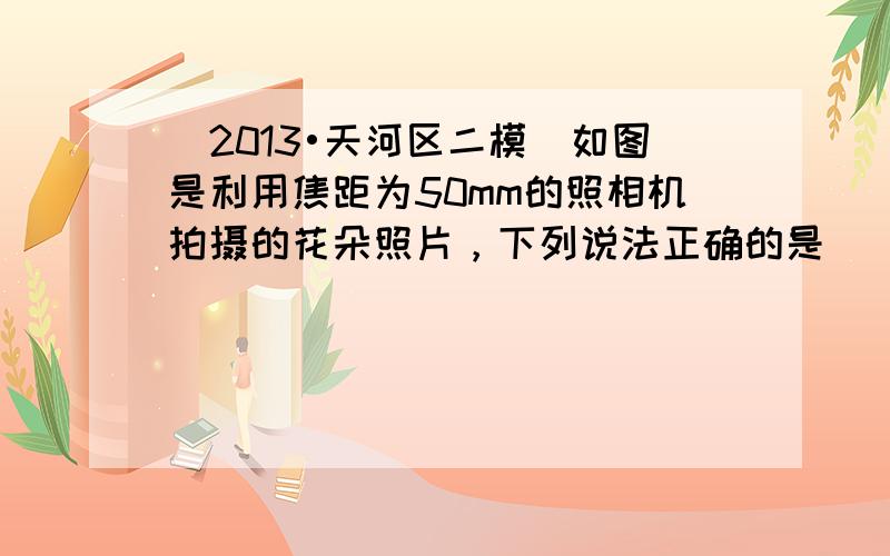 （2013•天河区二模）如图是利用焦距为50mm的照相机拍摄的花朵照片，下列说法正确的是（　　）