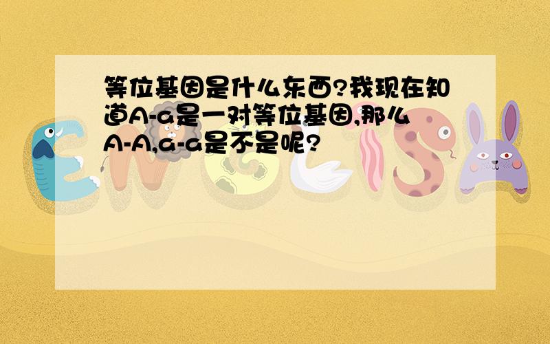 等位基因是什么东西?我现在知道A-a是一对等位基因,那么A-A,a-a是不是呢?