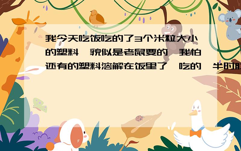 我今天吃饭吃的了3个米粒大小的塑料【貌似是老鼠要的】我怕还有的塑料溶解在饭里了,吃的一半时肚子痛