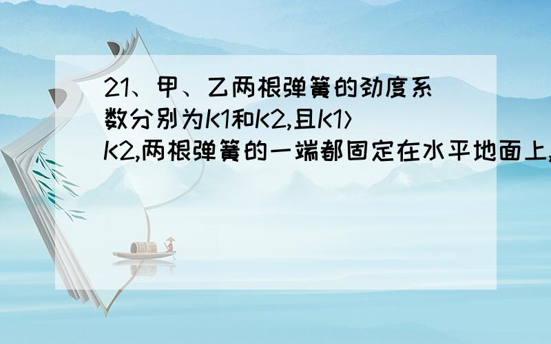 21、甲、乙两根弹簧的劲度系数分别为K1和K2,且K1＞K2,两根弹簧的一端都固定在水平地面上,另一端各自被重力为G的物