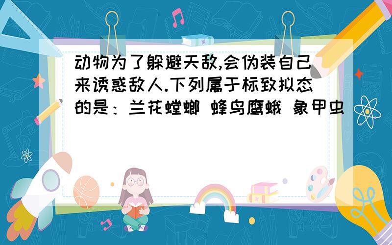 动物为了躲避天敌,会伪装自己来诱惑敌人.下列属于标致拟态的是：兰花螳螂 蜂鸟鹰蛾 象甲虫